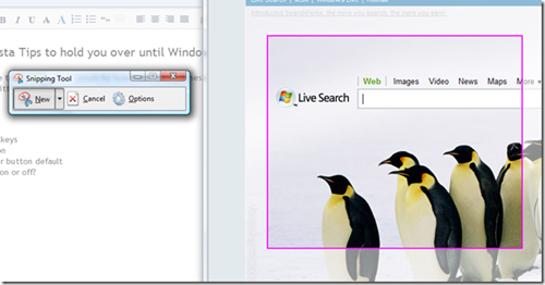 vista snipping tool - capture screenshots easily