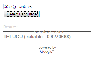 google language detection tool