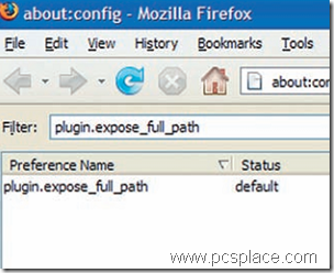 test your firefox plugins
