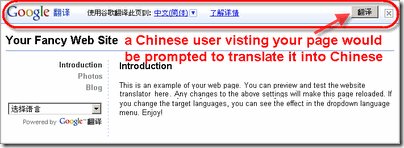 google translator gadget
